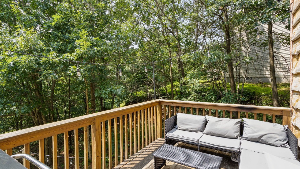 Photo of Outdoor in Mount Pocahontas