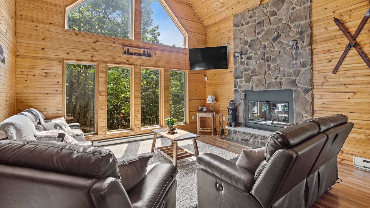 Photo of Livingroom in Mount Pocahontas