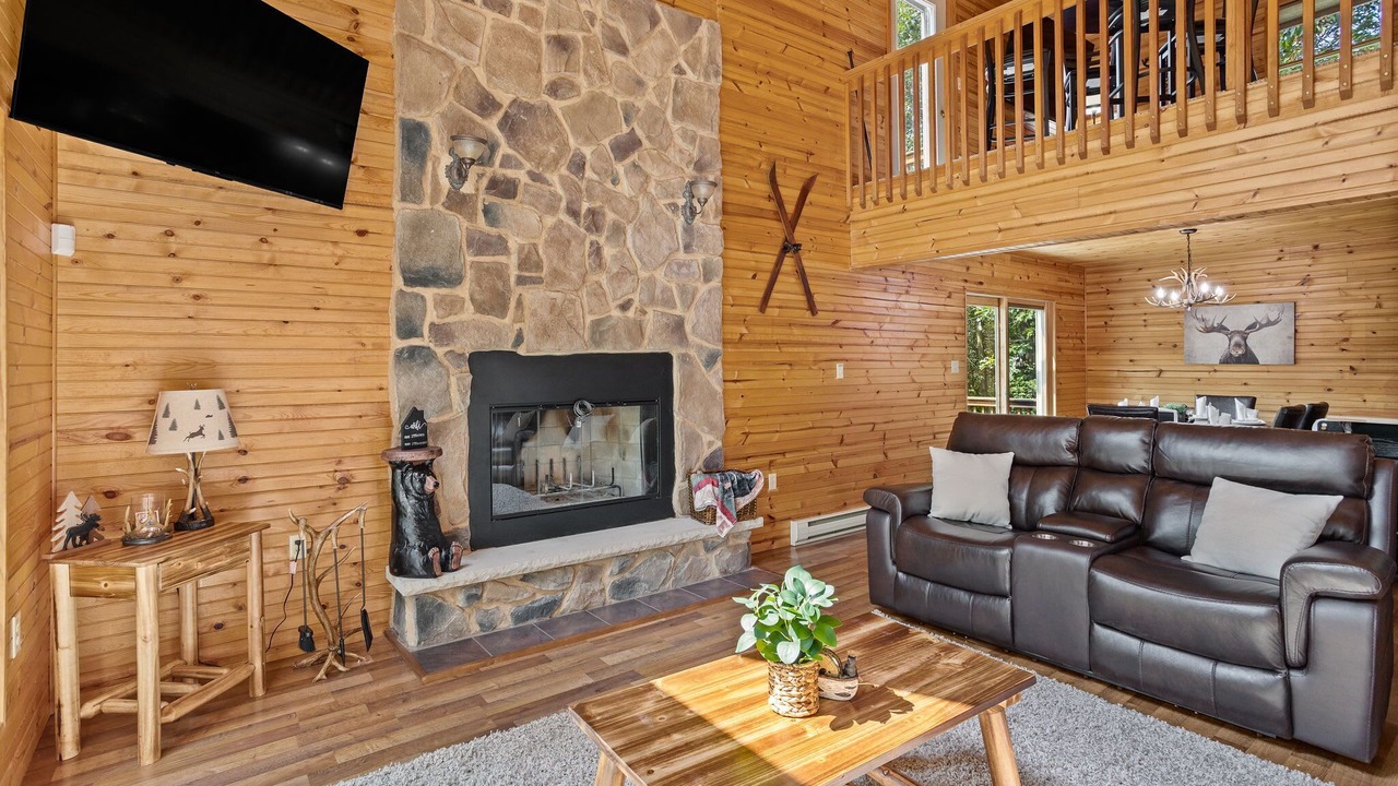 Photo of Livingroom in Mount Pocahontas