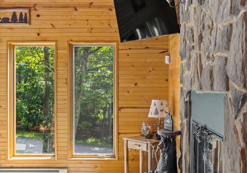 Photo of Livingroom in Mount Pocahontas