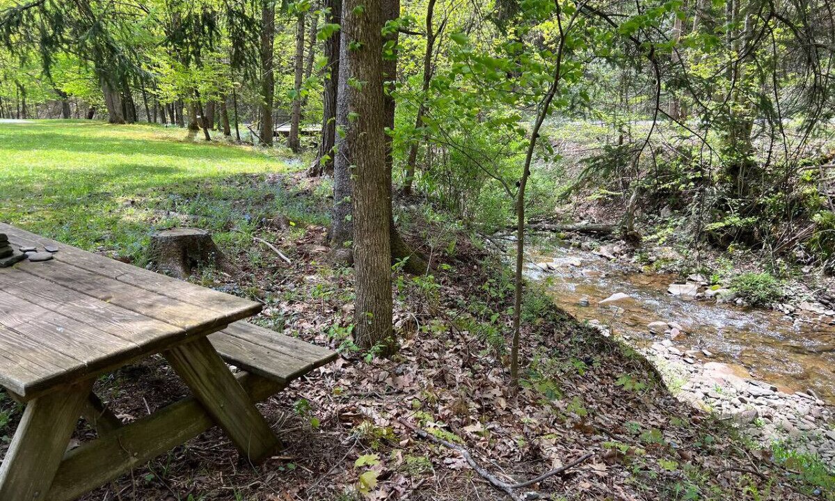 Photo of Outdoor in Margaretville