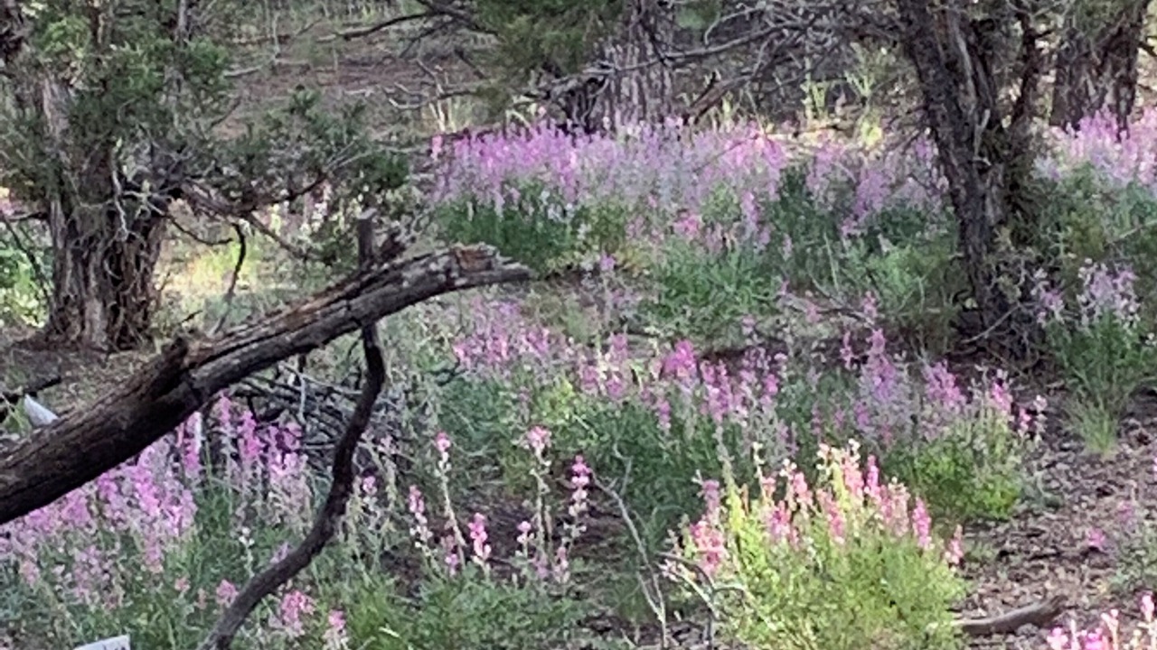 Photo of Outdoor in Duchesne