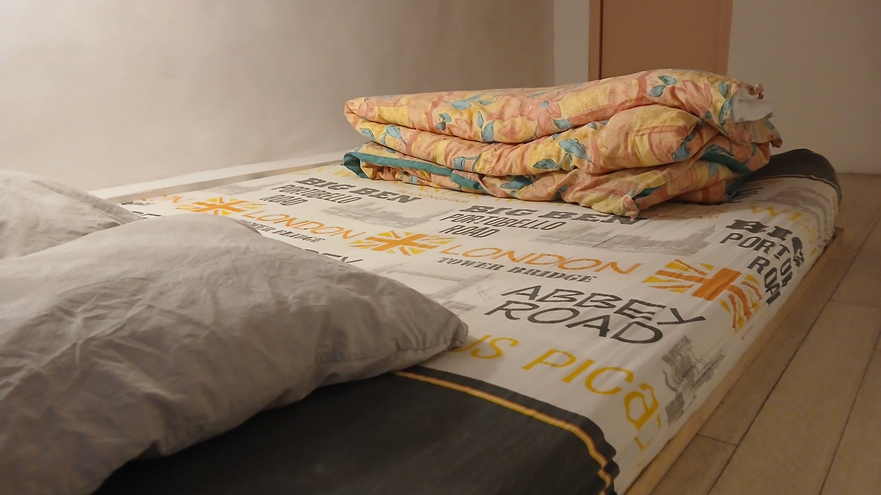 Photo of Bedroom in Thiers
