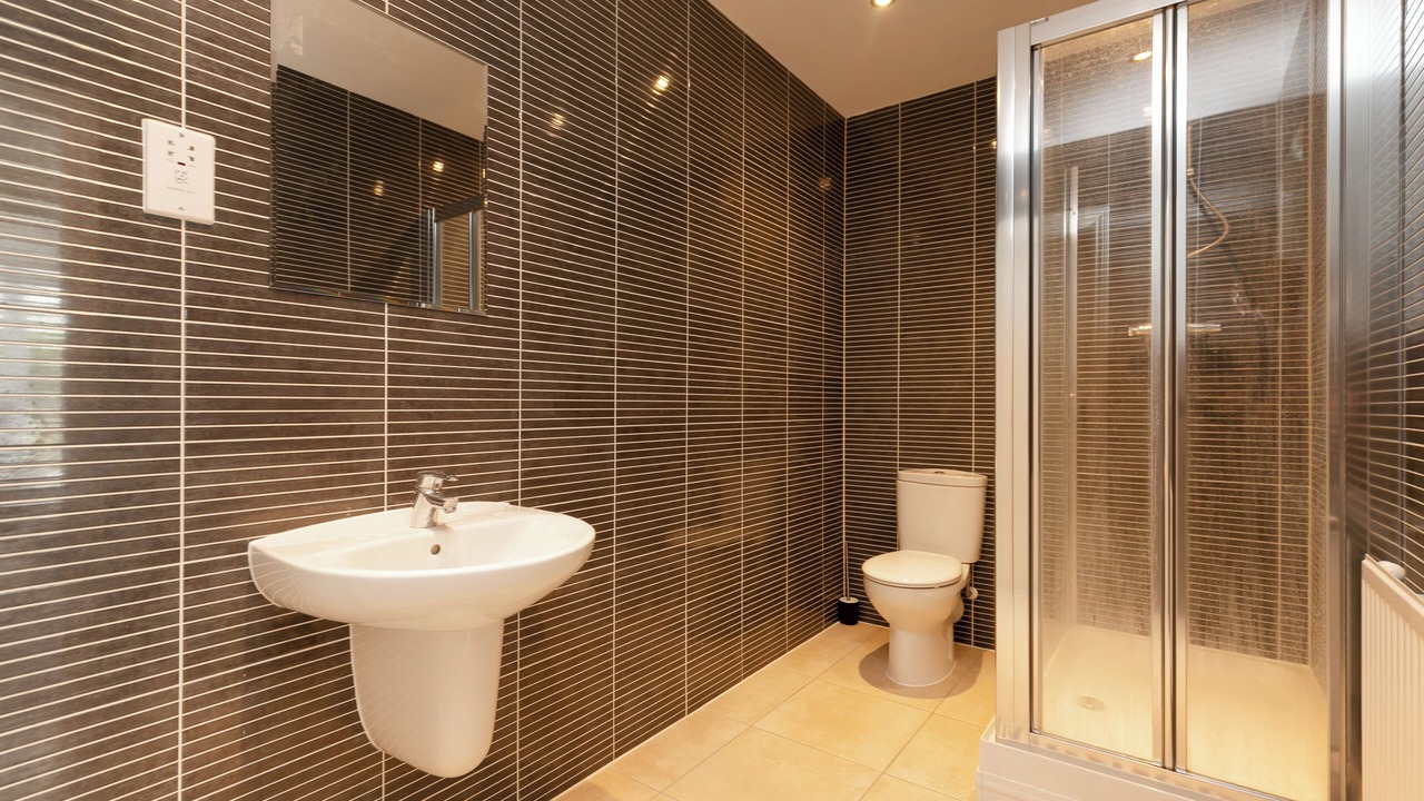 Photo of Others in Ashford