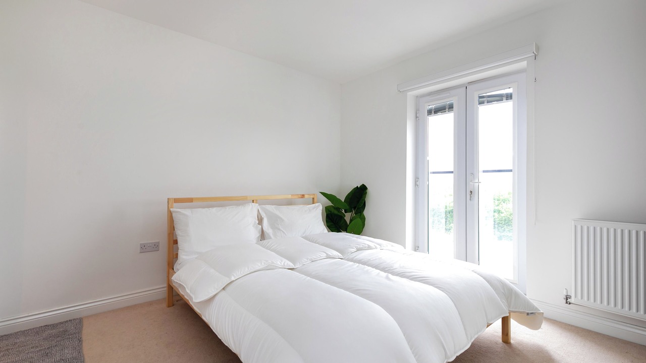 Photo of Others in Ashford