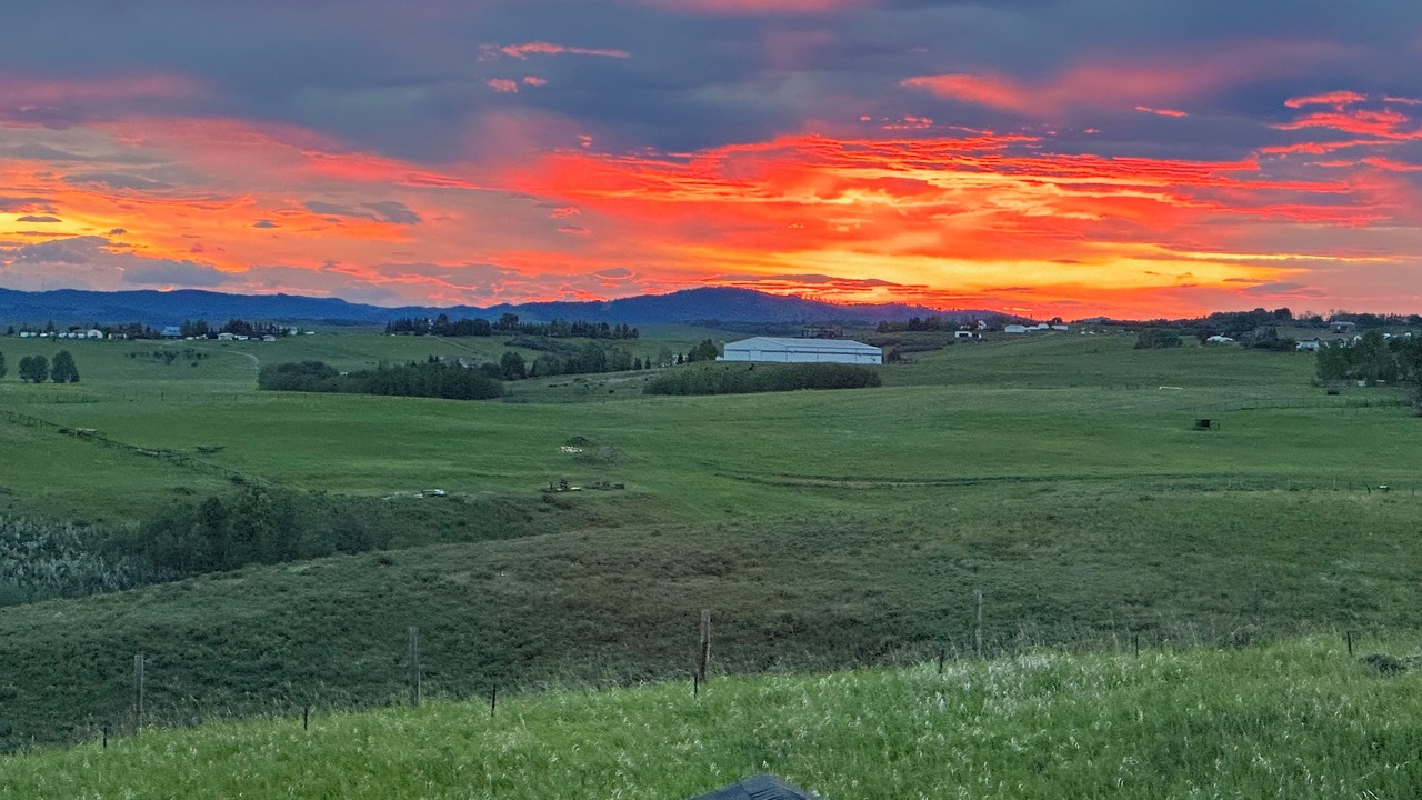 Photo of Others in Cochrane