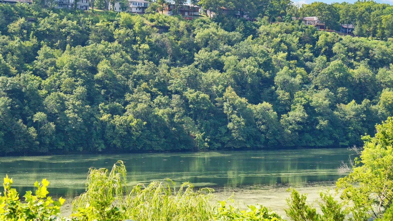 Photo of Others in Branson