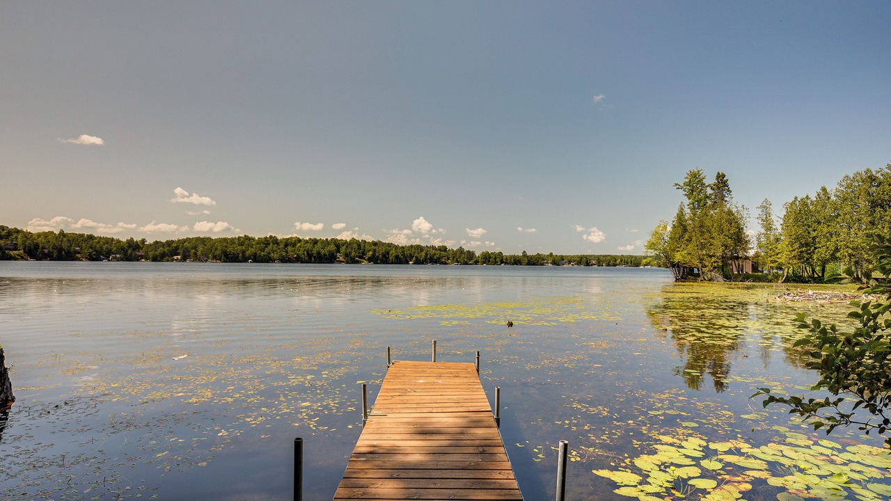 Photo of Outdoor in Townsend