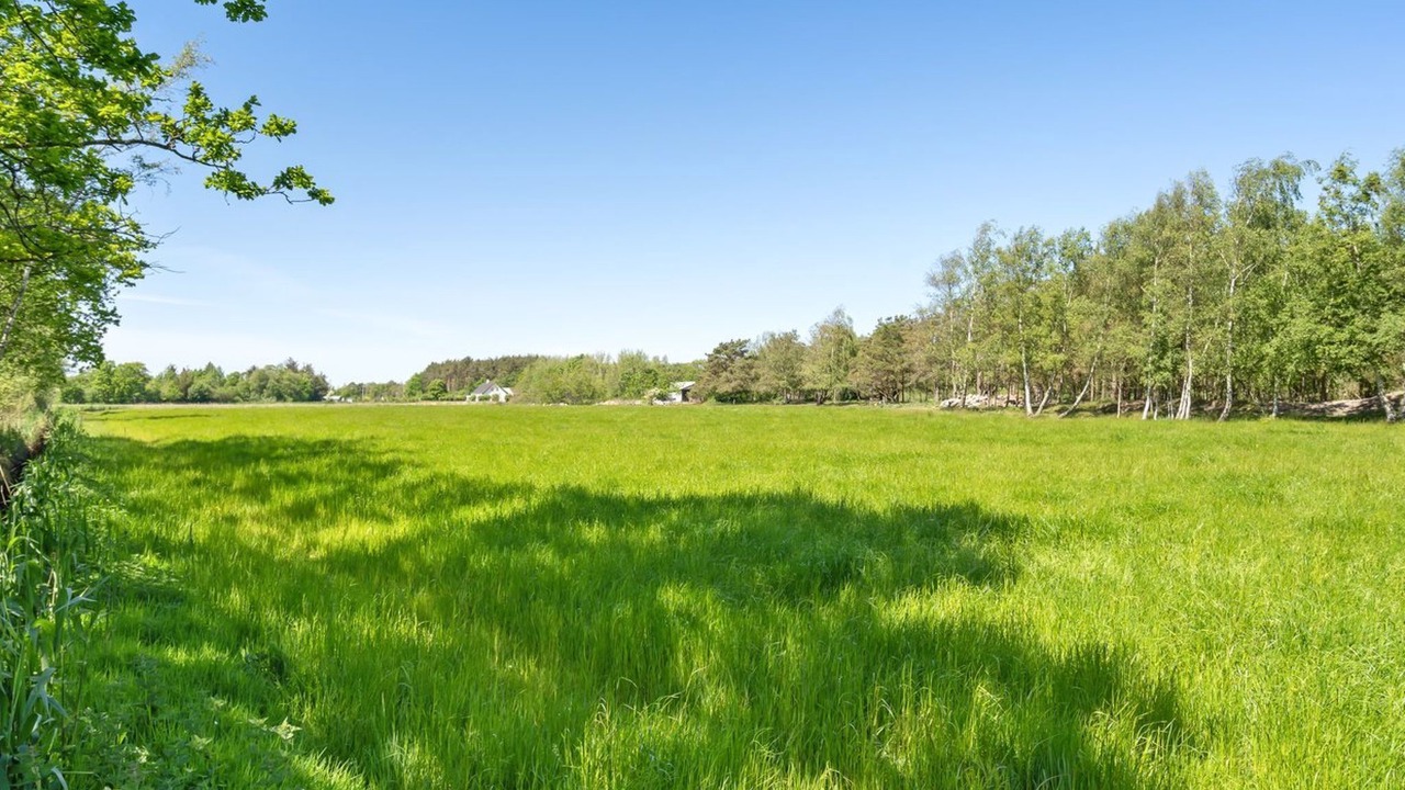 Photo of Outdoor in Læsø