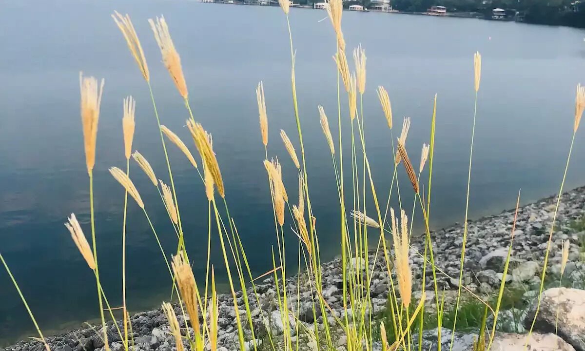 Photo of Others in Lake Bridgeport