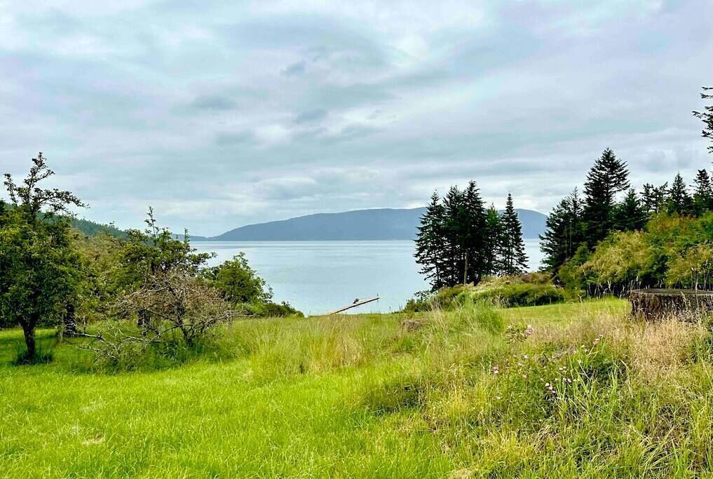 Photo of Others in Olga