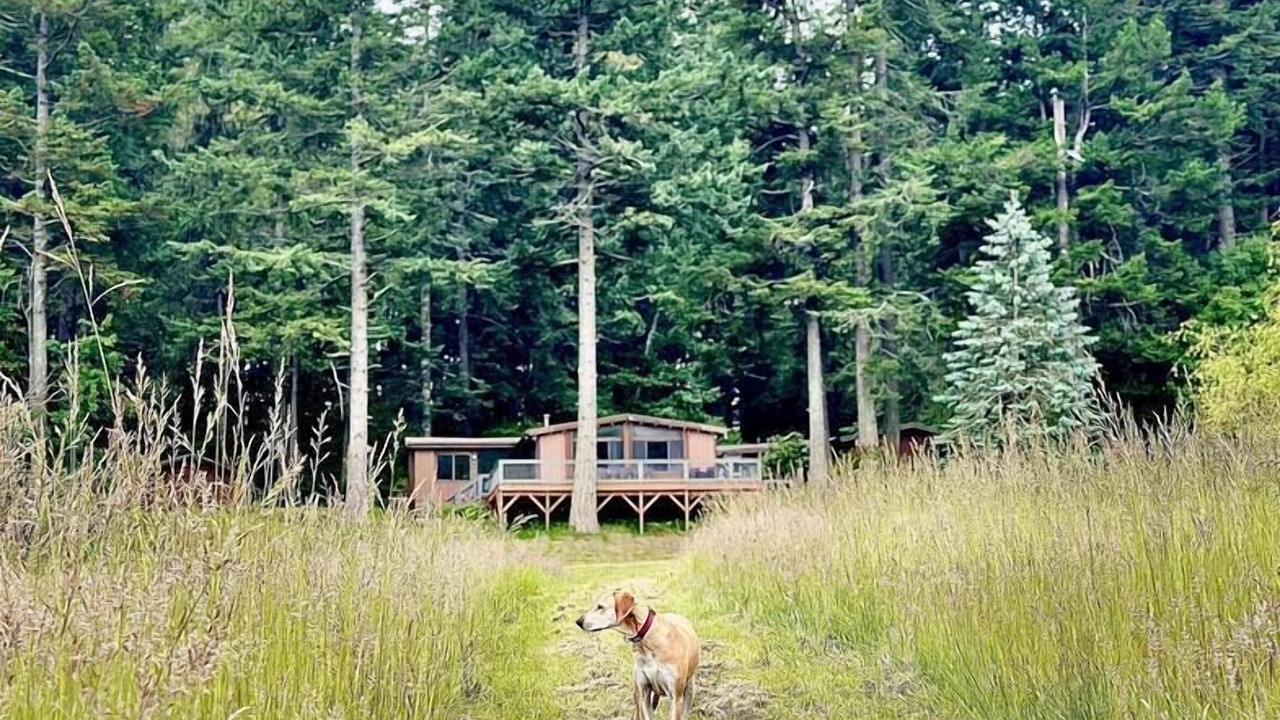 Photo of Others in Olga