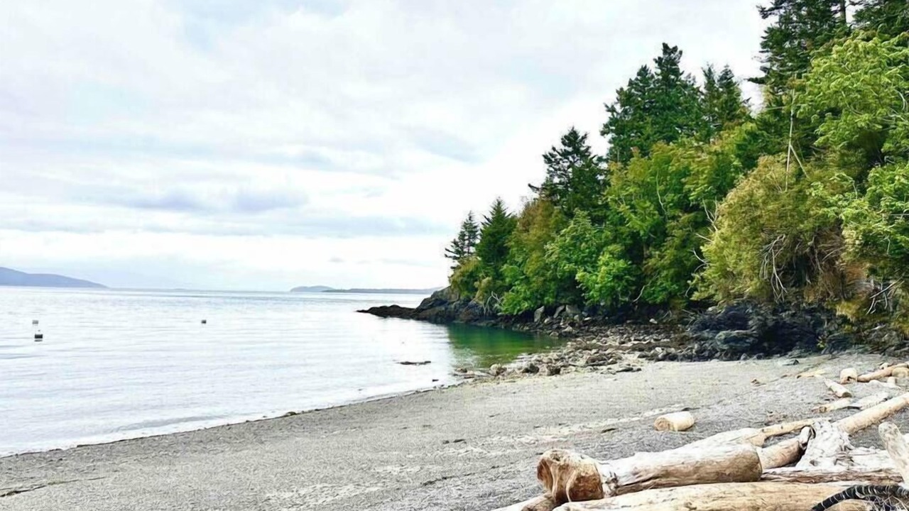 Photo of Others in Olga