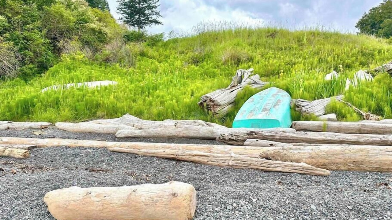 Photo of Others in Olga