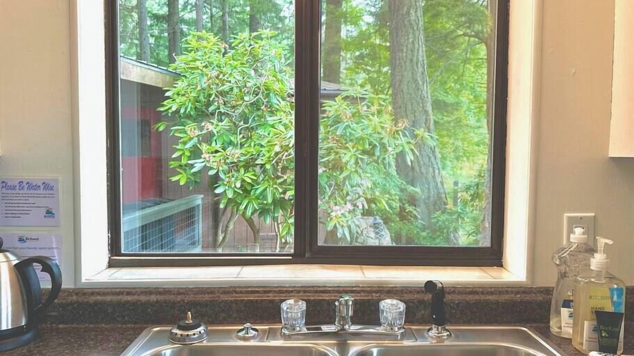 Photo of Others in Olga