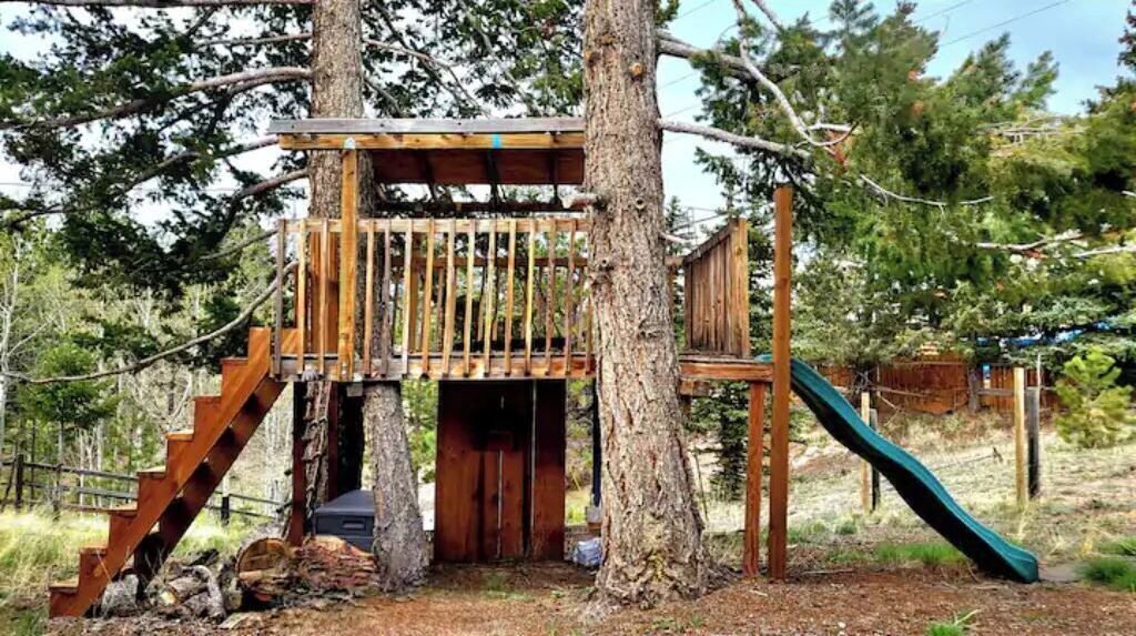 Photo of Others in Woodland Park
