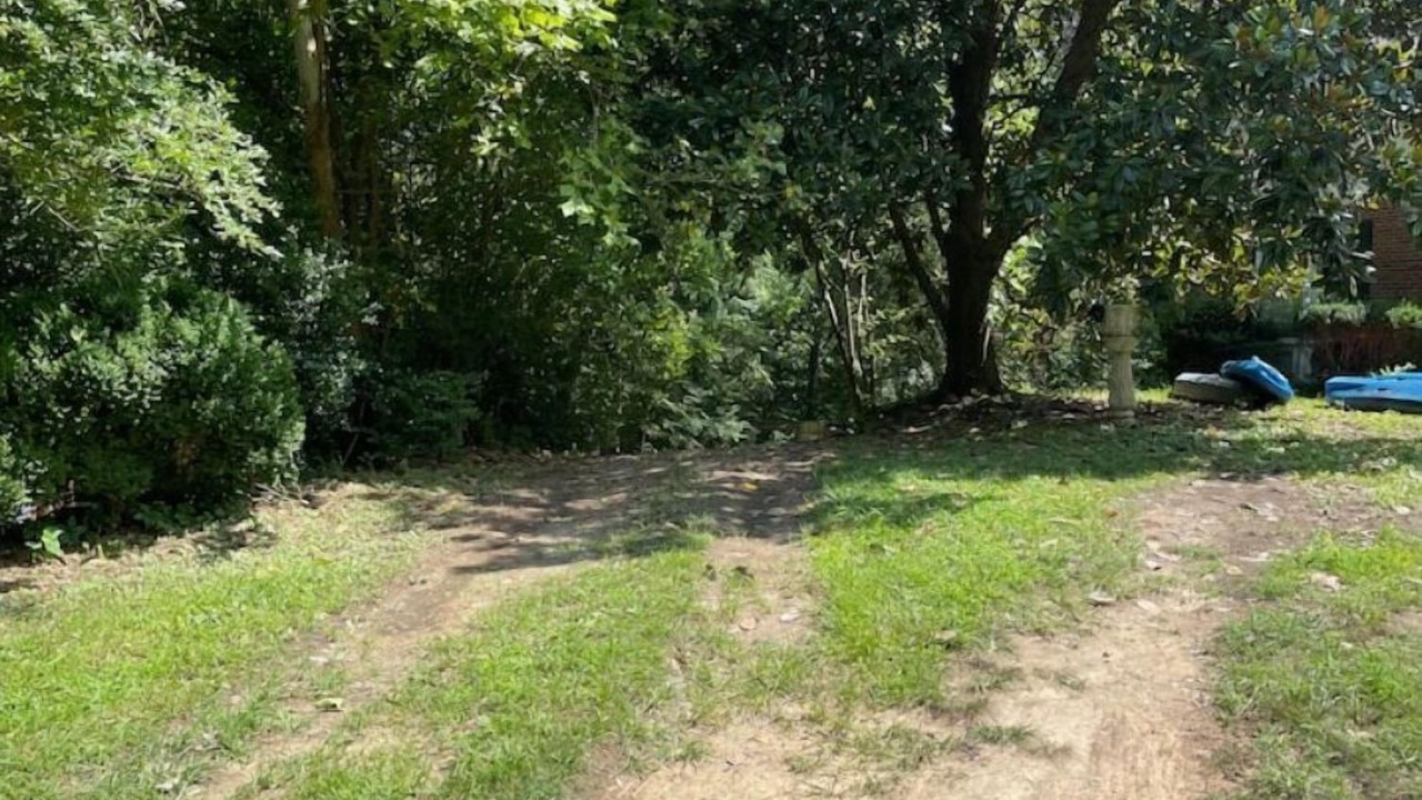 Photo of Outdoor in Williamsburg