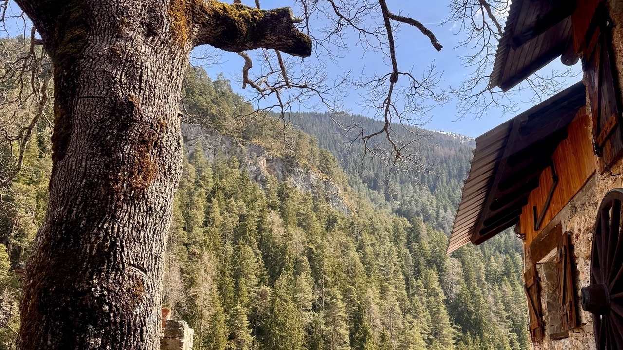 Photo of Outdoor in Roubion