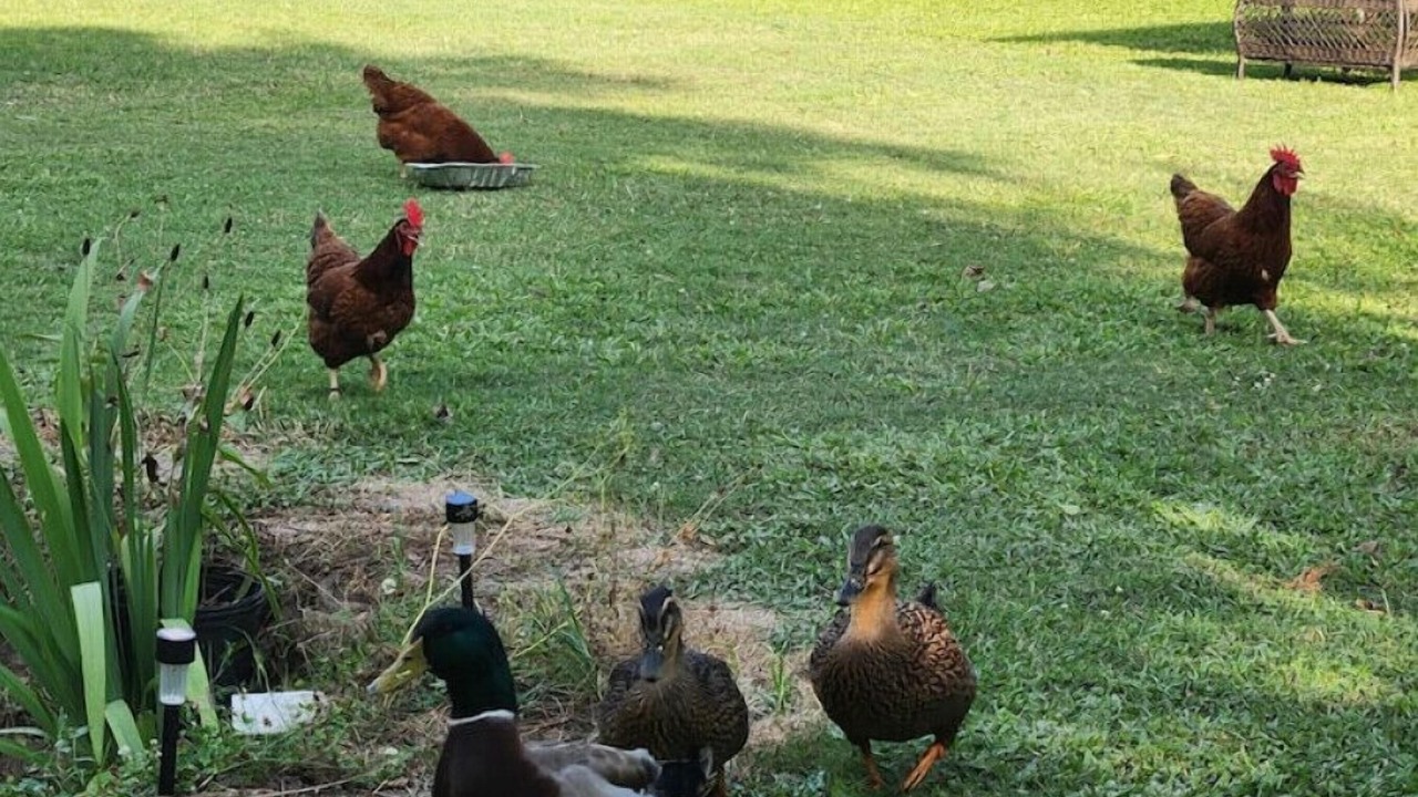 Photo of Others in Garyville