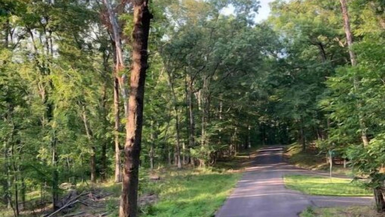 Photo of Outdoor in Kuttawa