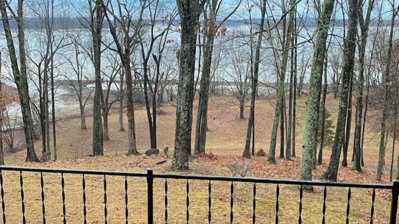 Photo of Outdoor in Kuttawa