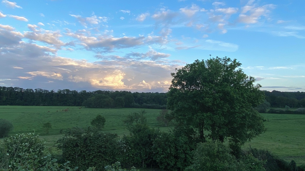 Photo of Outdoor in Douillet