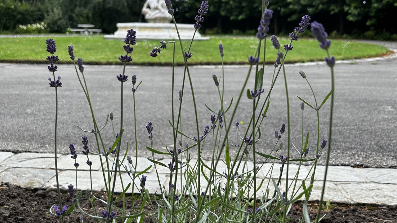 Photo of Outdoor in Groffliers