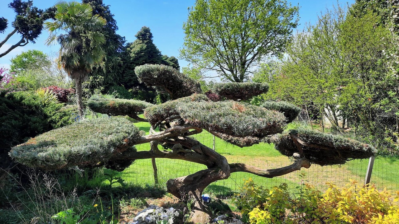 Photo of Outdoor in Saint-Maurice-le-Girard
