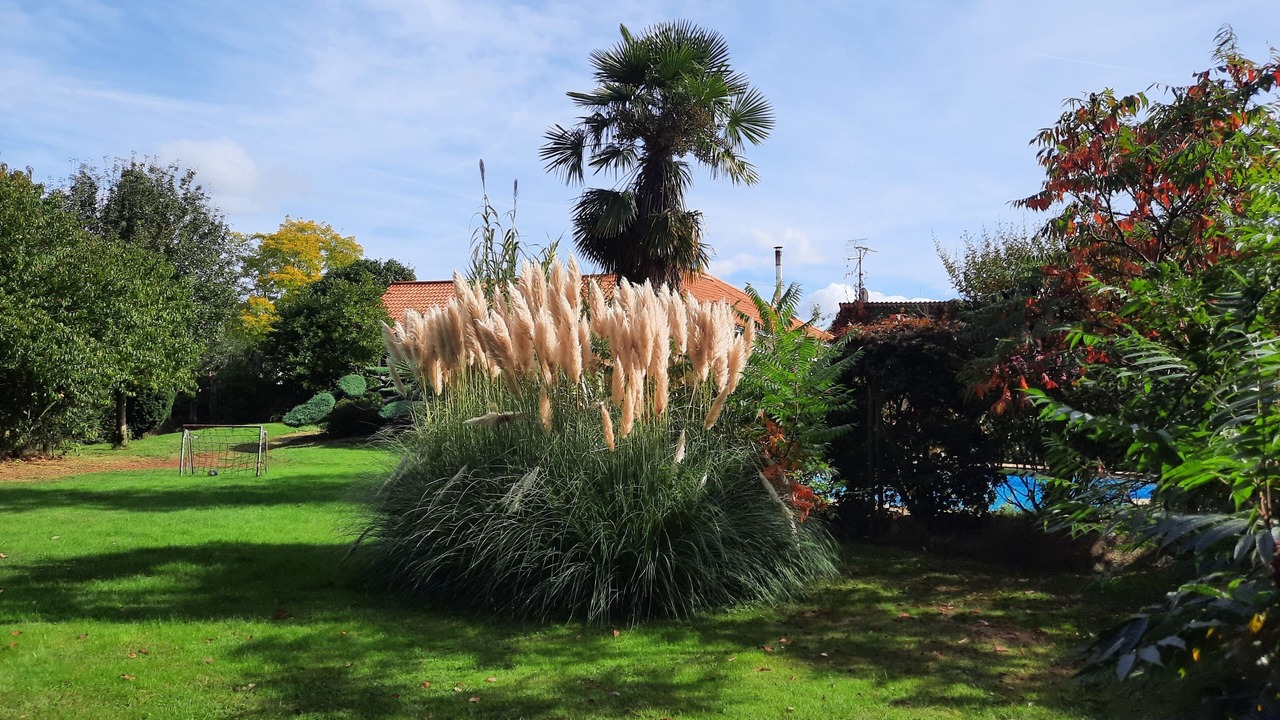 Photo of Outdoor in Saint-Maurice-le-Girard