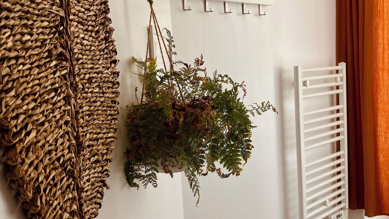 Photo of Others in Mauleon