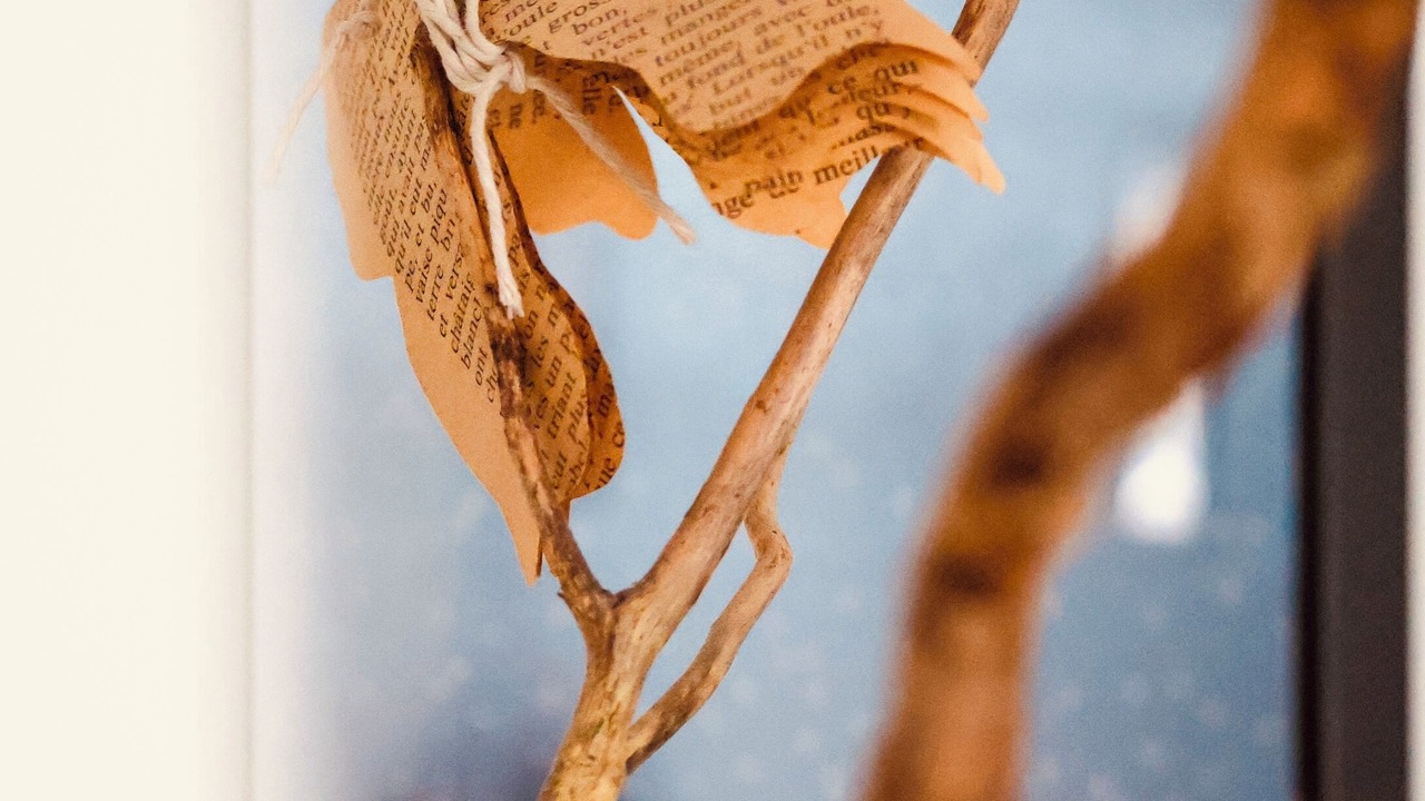 Photo of Others in Mauleon