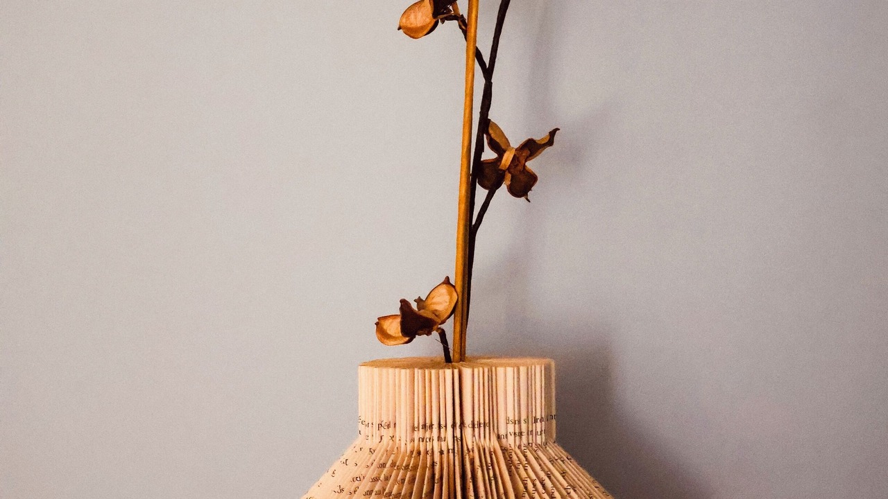 Photo of Others in Mauleon