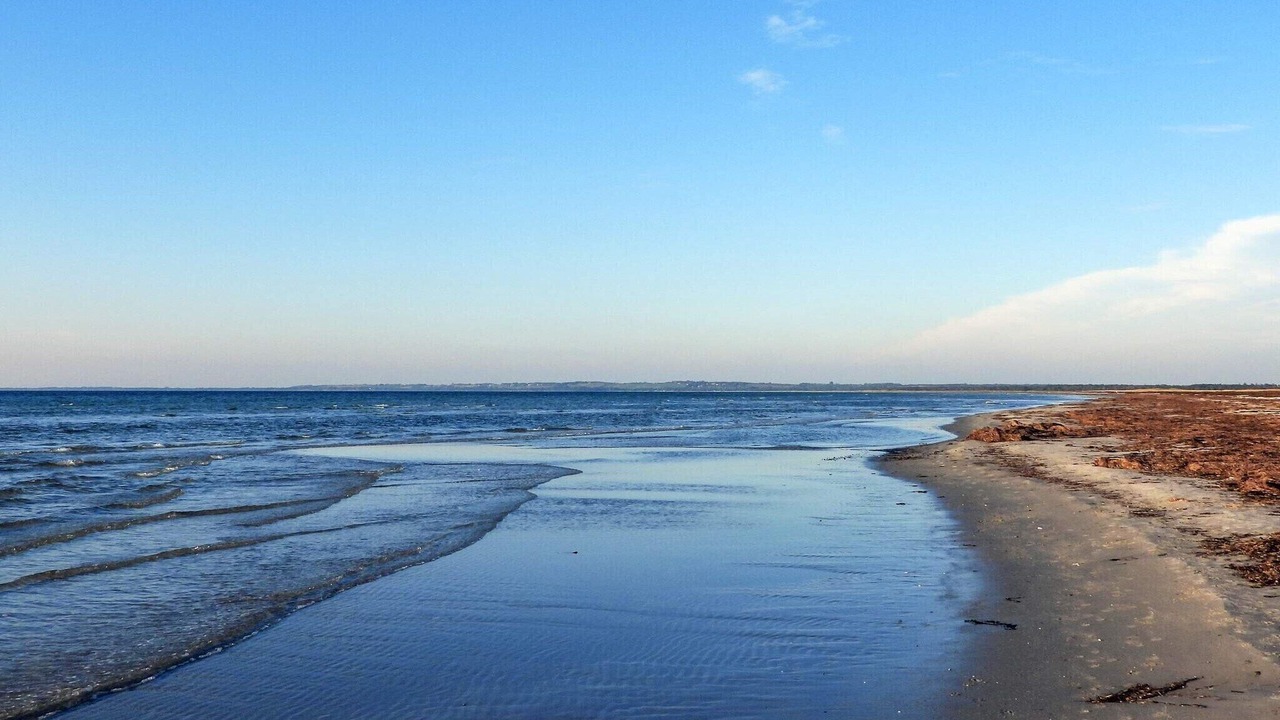 Photo of Others in Hoeve Strand