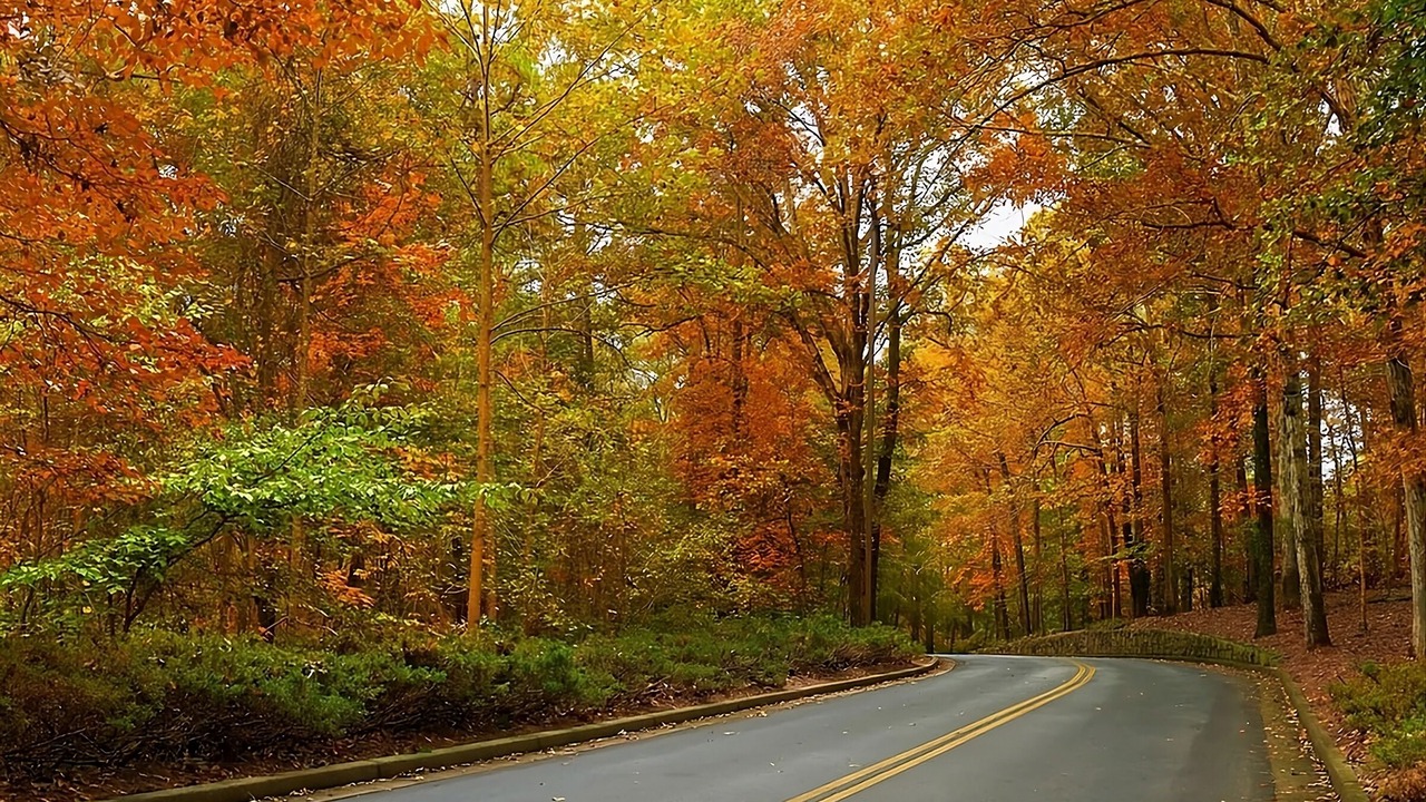 Photo of Outdoor in Stone Mountain
