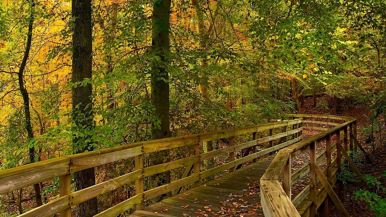 Photo of Outdoor in Stone Mountain