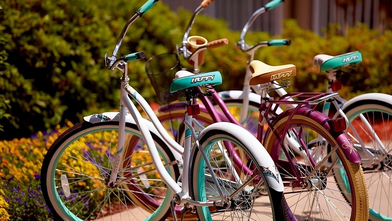 Photo of Others in Stone Mountain