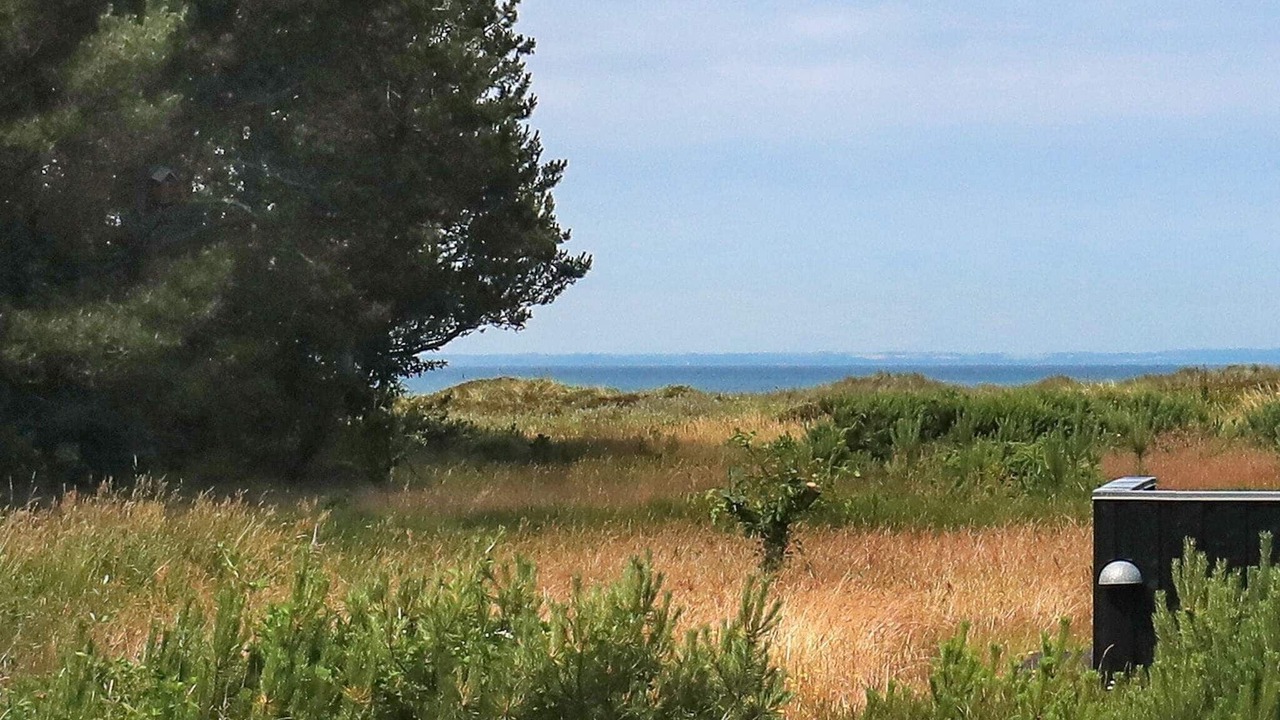 Photo of Others in Vestero Havn