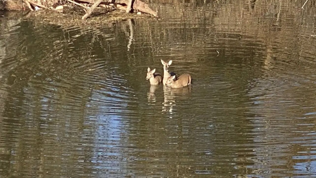 Photo of Others in Warr Acres