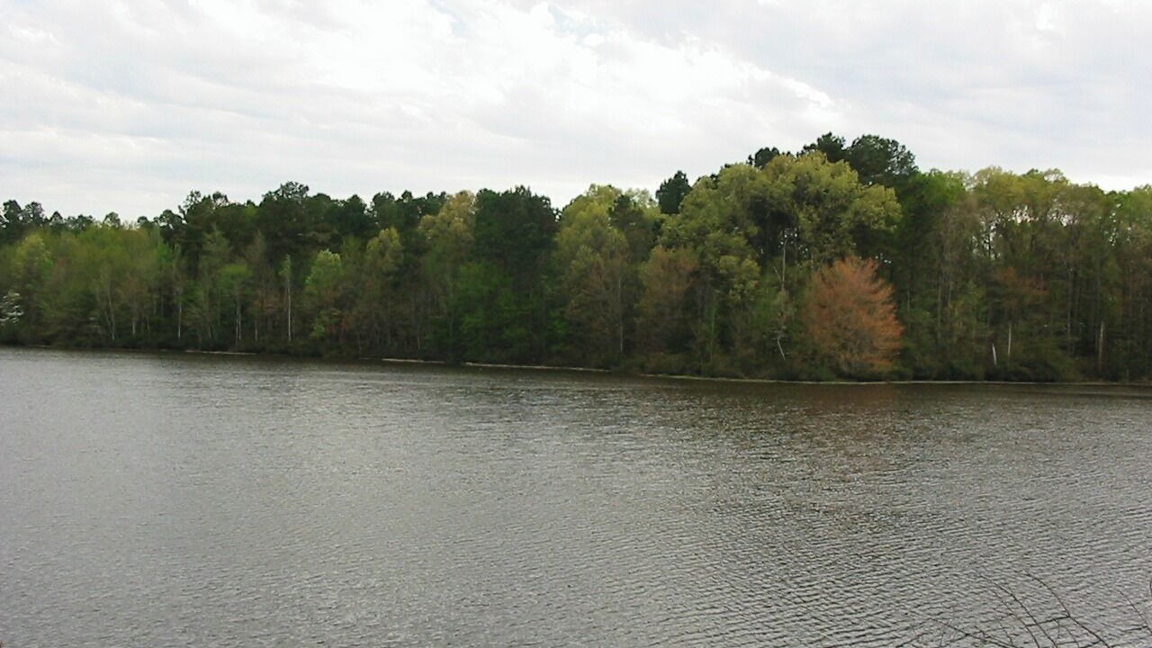 Photo of Others in Daingerfield