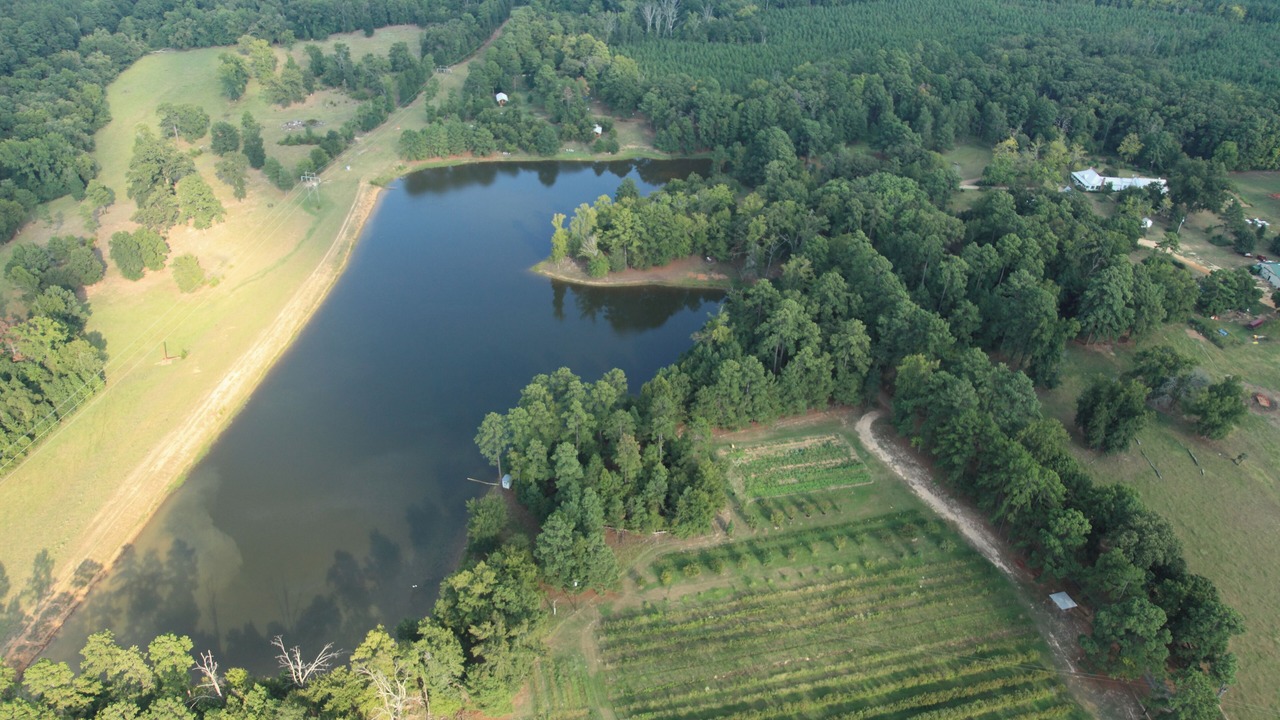 Photo of Outdoor in Daingerfield