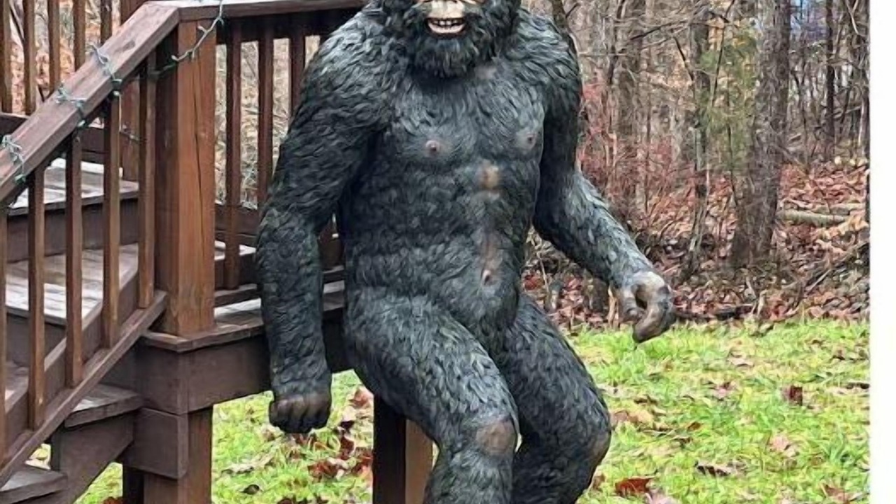 Photo of Outdoor in Clarkson