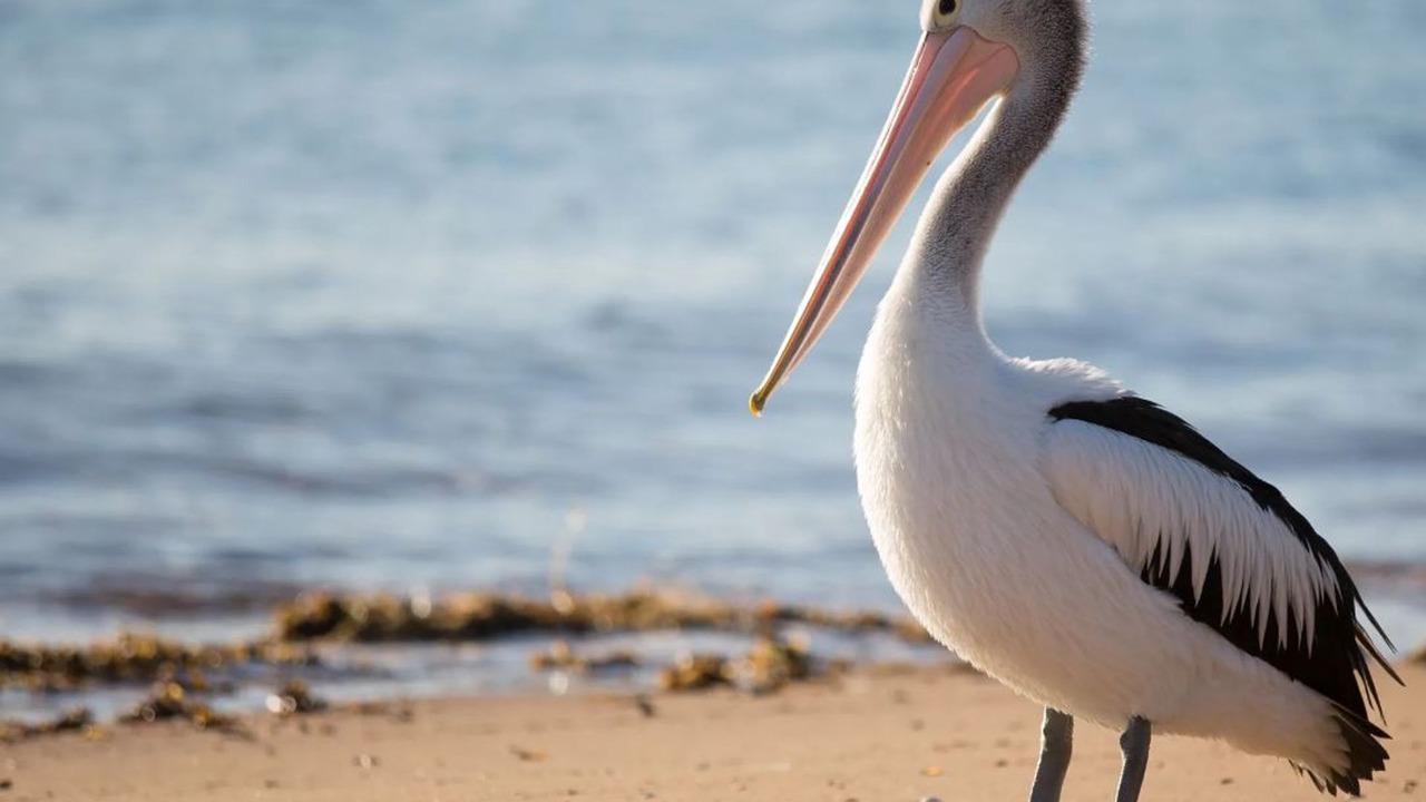 Photo of Others in Margate