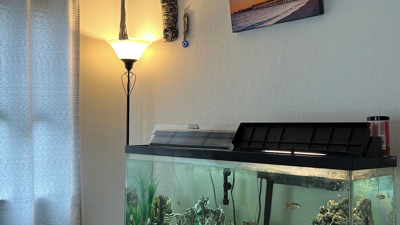 Photo of Others in Aptos