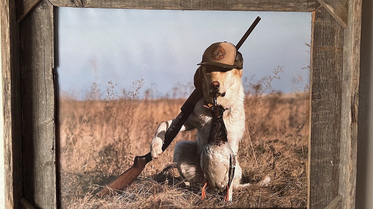 Photo of Others in Texas Gulf Coast Region