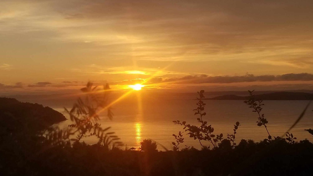 Photo of Others in Spaniard's Bay