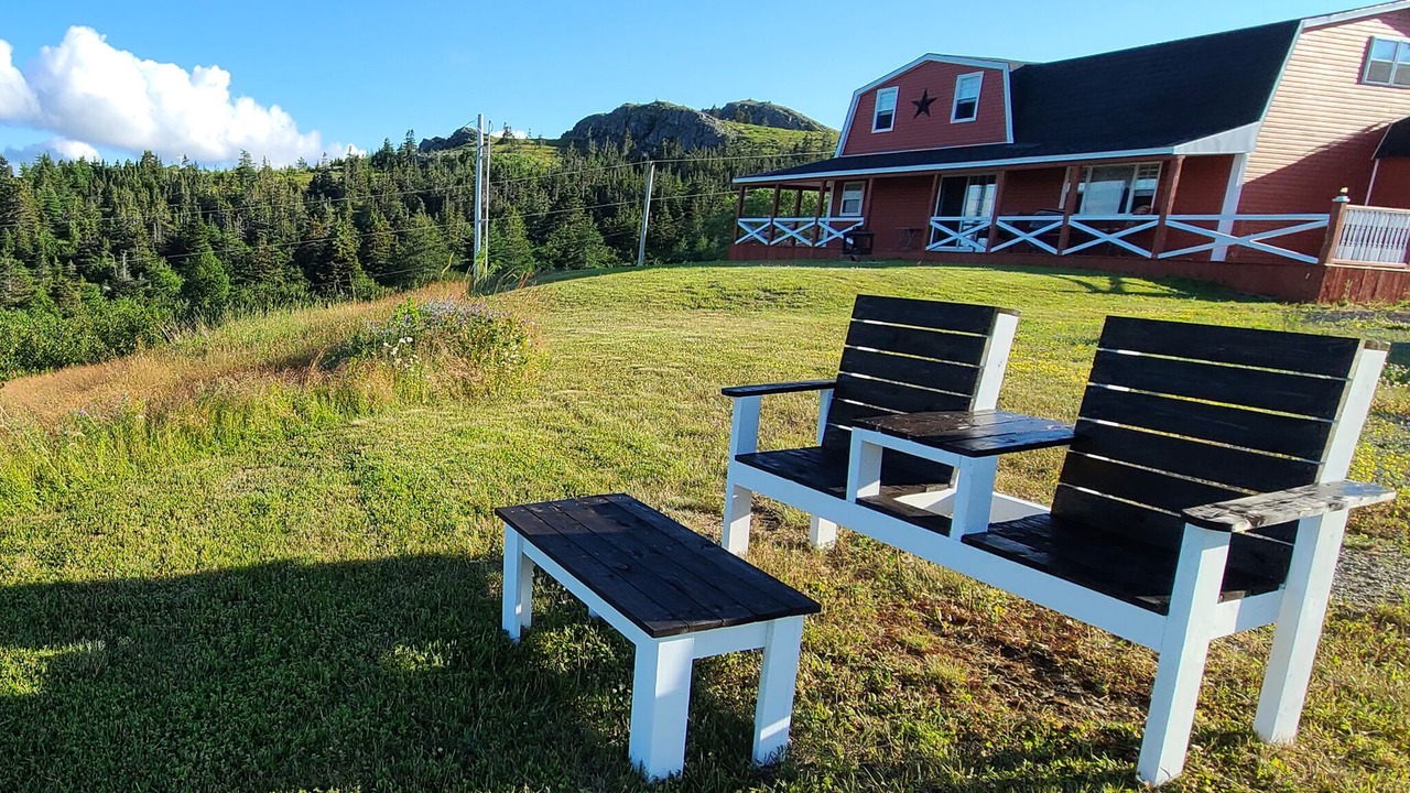 Photo of Others in Spaniard's Bay