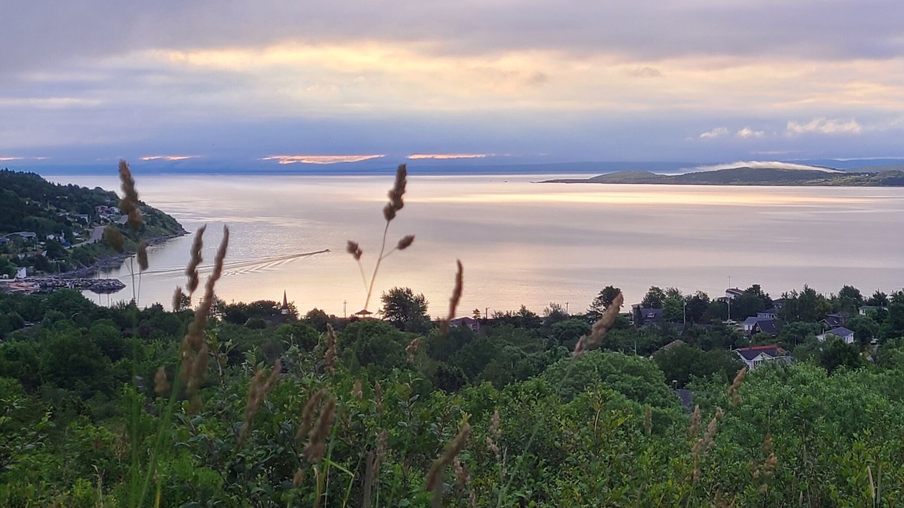 Photo of Others in Spaniard's Bay