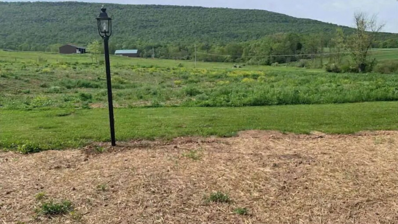 Photo of Others in Lewistown