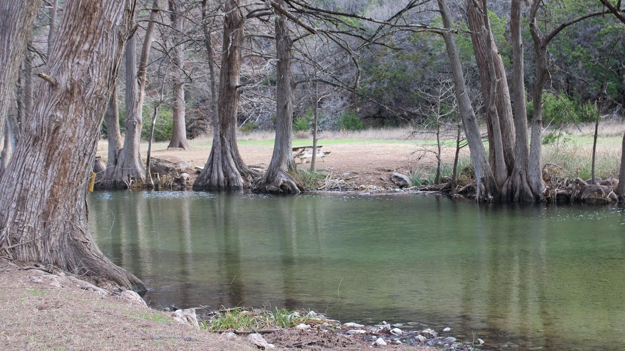 Photo of Others in Leakey