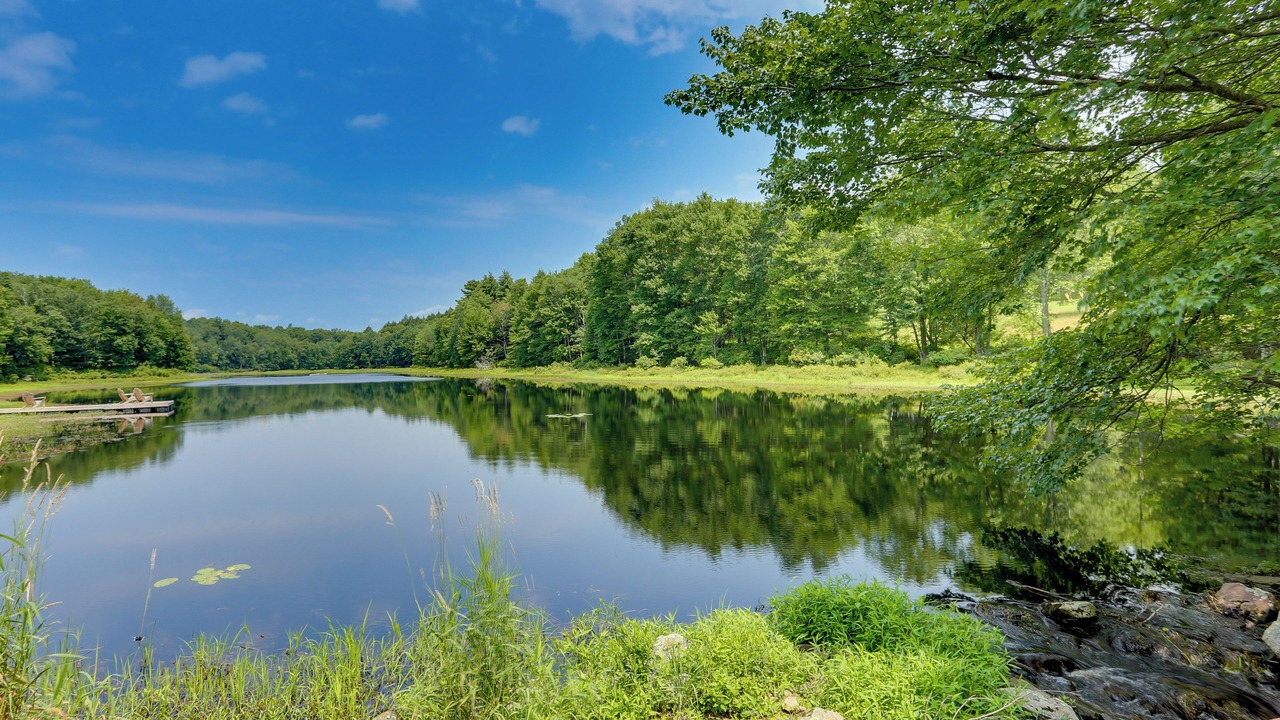Photo of Outdoor in Swan Lake